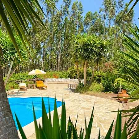 Wellbeing Guesthouse Casa E Connosco Alvaiazere Ngoại thất bức ảnh