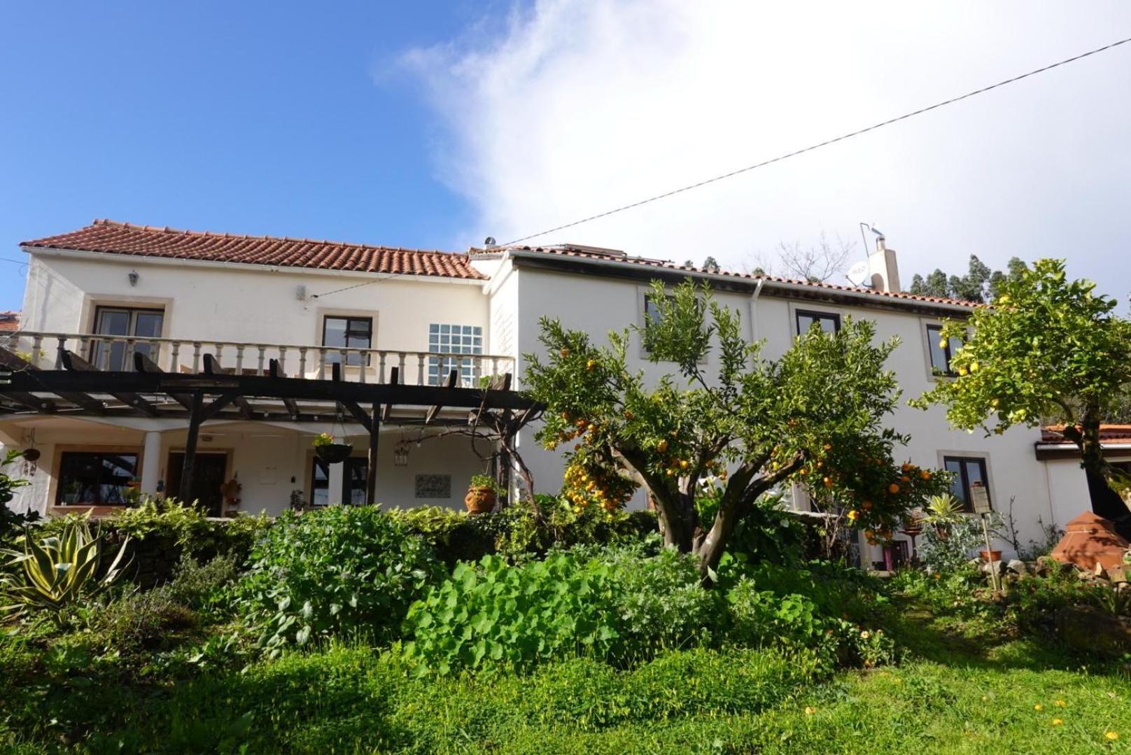Wellbeing Guesthouse Casa E Connosco Alvaiazere Ngoại thất bức ảnh