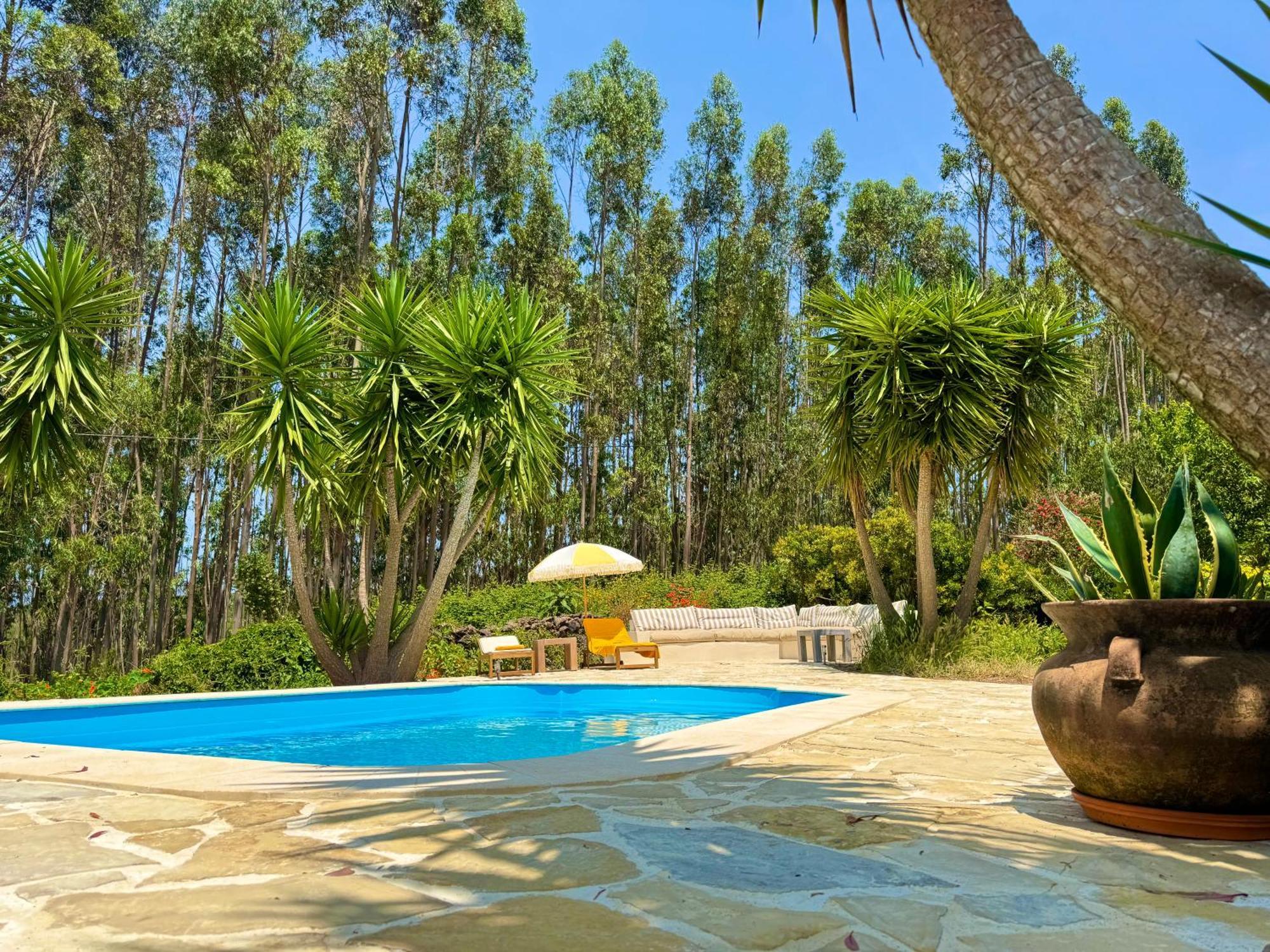 Wellbeing Guesthouse Casa E Connosco Alvaiazere Ngoại thất bức ảnh